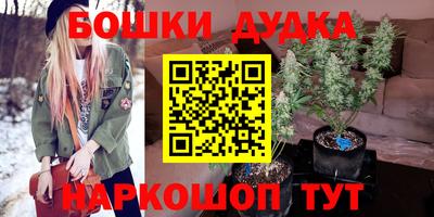 крисы Будённовск